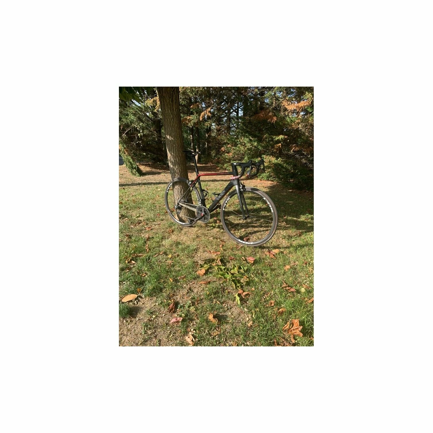 Vélo De Course Canyon - 54 - 700c 5 Vélo De Course Canyon - 54 - 700c – Image 5