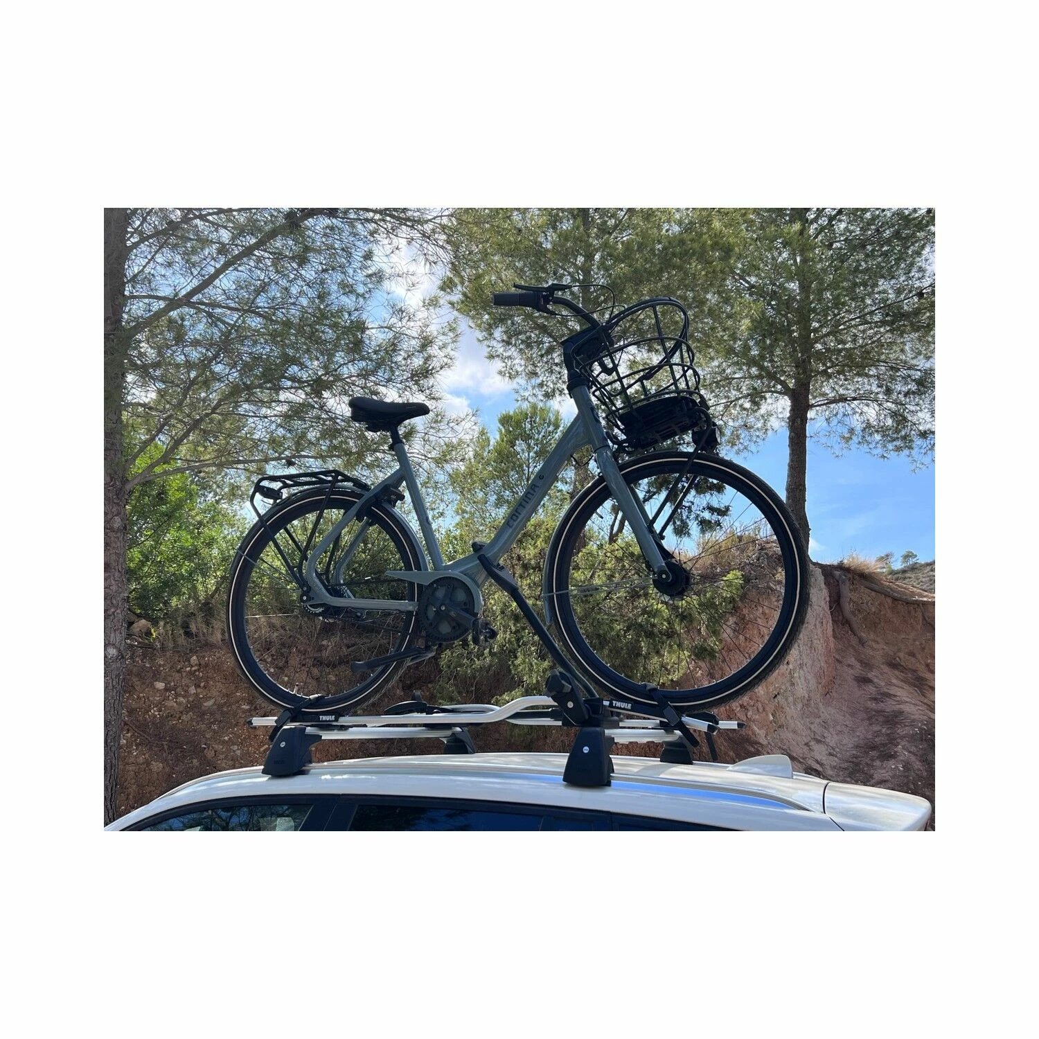 Vélo Hollandais Cortina - L (56-57) 1 Vélo Hollandais Cortina - L (56-57)