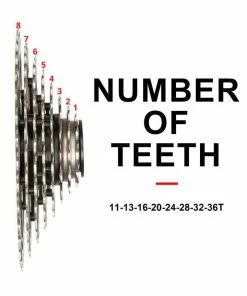 Roue Libre à 8 Vitesses BOLANY VTT 8 Vitesses Roue Libre Vélo 11-36T Cassette Volant Pour SRAM HB044 - Avis / Test