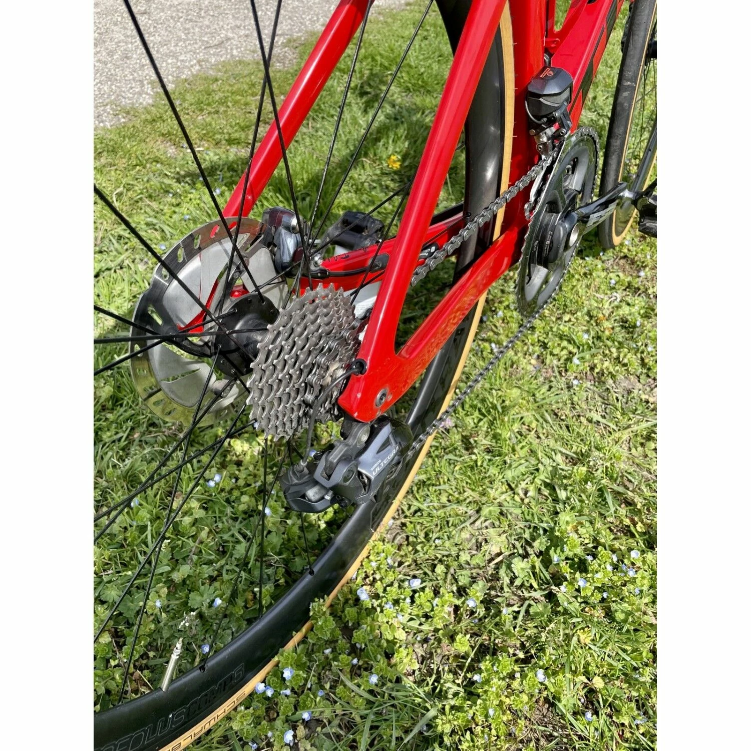 Vélo De Course Trek - 52 2 Vélo De Course Trek - 52 – Image 2