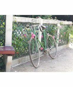 Vélo De Course Autre Marque - 54