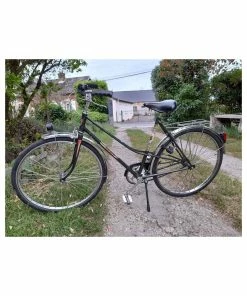 Vélo Hollandais Autre Marque - M (53-55)