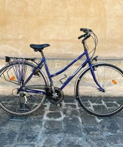 Vélo Tout Chemins Gazelle